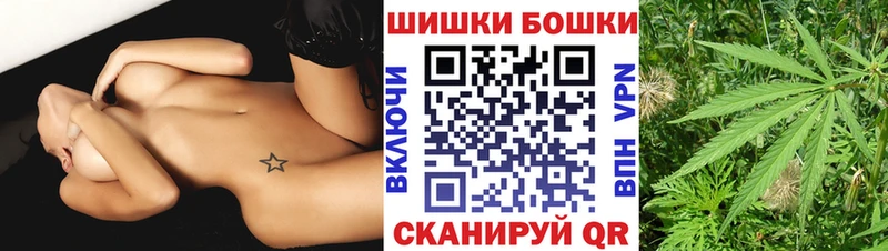 Псилоцибиновые грибы Ноябрьск