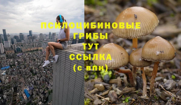 mix Арсеньев