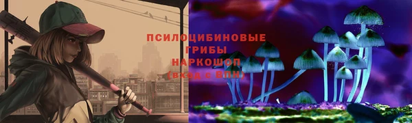 амф Корсаков