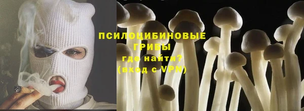 амф Корсаков