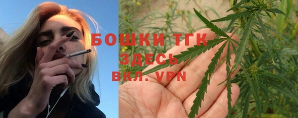 молекула духа Костерёво